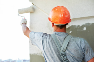 Professional painter